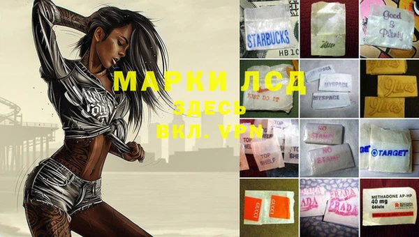 ECSTASY Михайловка