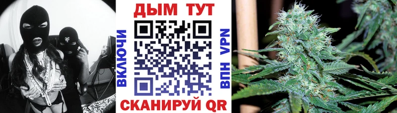 Марихуана план  как найти закладки  Солнечногорск 